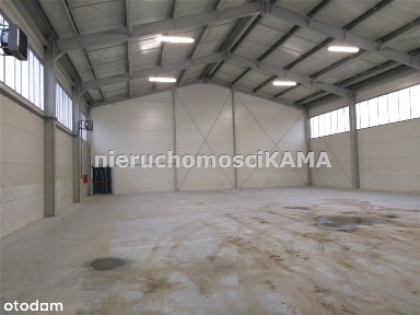 Hala/Magazyn, 1 100 m²