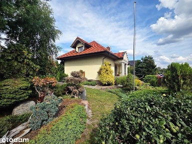 ul. Radosna, Witkowo, gnieźnieński, wielkopolskie