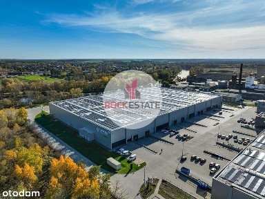 Luboń magazyn 3291 m2 na wynajem bez koszt. eksp