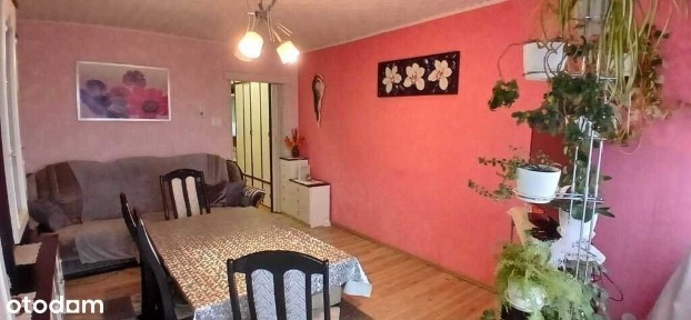 2-pokojowe mieszkanie, 48 m² -Szczecin, ul. 9 Maja