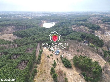 Wyjątkowy dom z dużą działką w lesie nad jeziorem