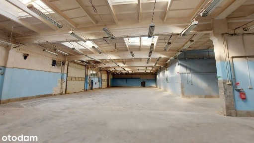 Magazyn/HALA produkcyjna, 6m wys Bielsko, parking TIR, brama poziom 0