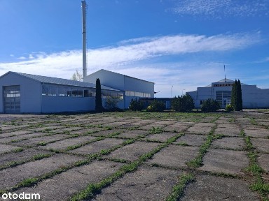 Hale na produkcję/magazyn, teren pod bazę centrum magazynowe