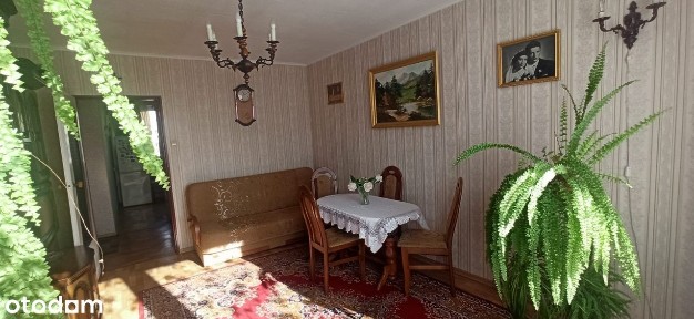 3 pokoje Sosnowiec Milowice niski blok ogrz miejskie super lokalizacja