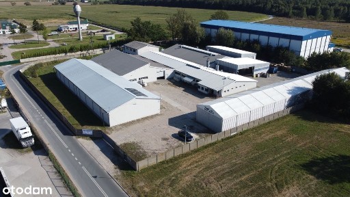 Bełchatów, bełchatowski, łódzkie