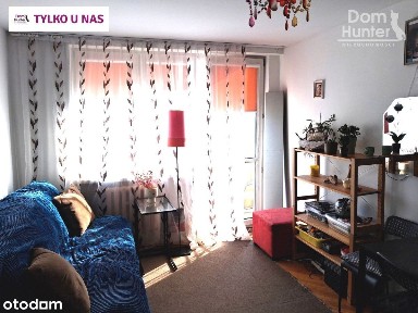 Szopy, Śródmieście, Gdańsk, pomorskie