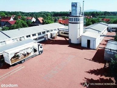 Piotrowice, Kostomłoty, średzki, dolnośląskie