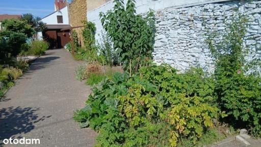 Sandomierska, Ćmielów, ostrowiecki, świętokrzyskie