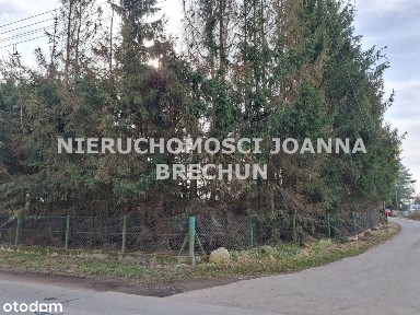 Wilczkowice / z potencjałem, Wilczkowice, Jordanów Śląski, wrocławski, dolnośląskie