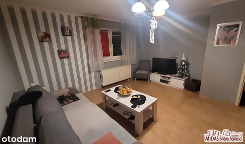39,36m2, 1 duży pokój, blisko Parku Łokietka!