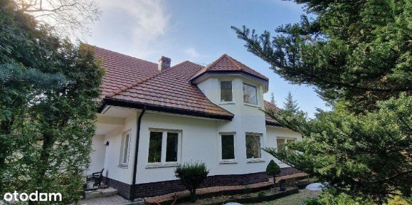 Przy Puszczy, gotowy do wprowadzenia, Dąbrowa