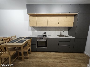 Mieszkanie na wynajem 40m2 ul. Aleksandry Bielerzewskiej 4, Poznań