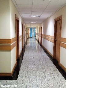 Biura do wynajęcia pow.dowolna od 20 - 560m2