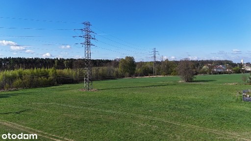 Parterowy dom na skraju lasu