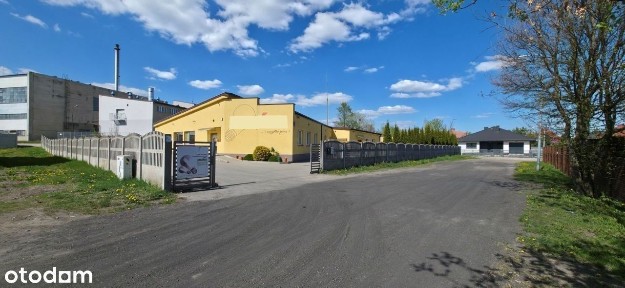 Lokal użytkowy, 500 m², Kutno