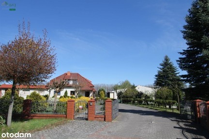 Biadacz, Łubniany, opolski, opolskie