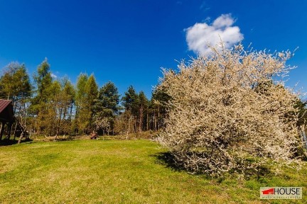Marzysz o domu, gdzie las zagląda do okien, a natura staję się jego częścią?