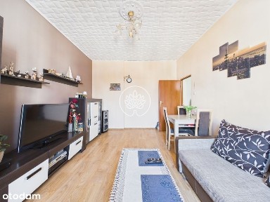 Skrzetusko 2 pokoje 47m2 + piwnica