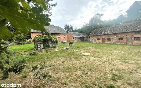 Dom z zab. gospodarczymi na dużej działce !