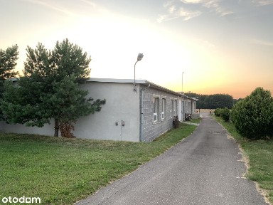 Turek, turecki, wielkopolskie