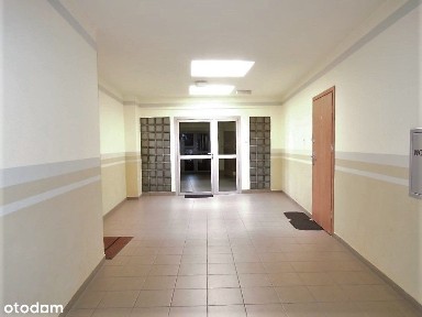 os.Bolesława Chrobrego, Piątkowo, Stare Miasto, Poznań, wielkopolskie