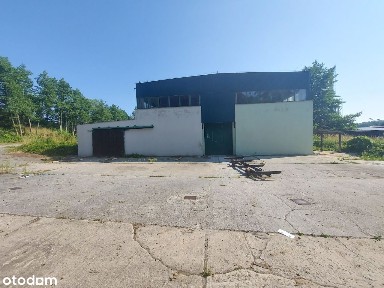 Krosno Odrzańskie, krośnieński, lubuskie