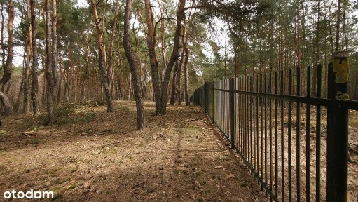 Dom, agroturystyka, stawy, 6.81ha, Lublin