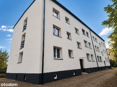 Leśny klimat, miejski komfort