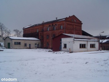 Wynajmę halę z linią produkcyjną biohumusu naturalnego ekologicznego
