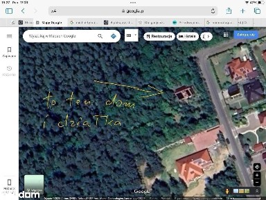 Dom w lesie - Miłosna koło Lubina
