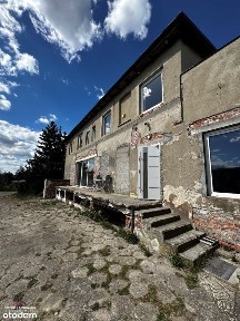 Szynych, Grudziądz, grudziądzki, kujawsko-pomorskie