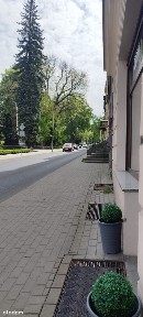 Lokal użytkowy 24,20 m² w centrum Bolesławca - BEZ POŚREDNIKÓW!
