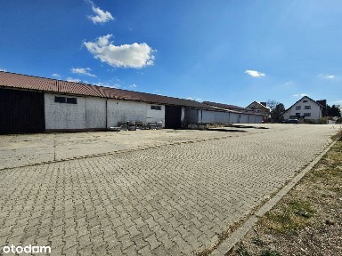 ul. Bohaterów Warszawy, Nowogard, goleniowski, zachodniopomorskie