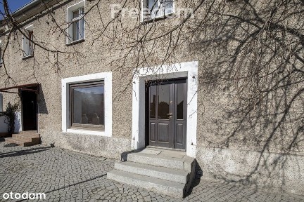 Duży dom z potencjałem usługowym- Domaniów