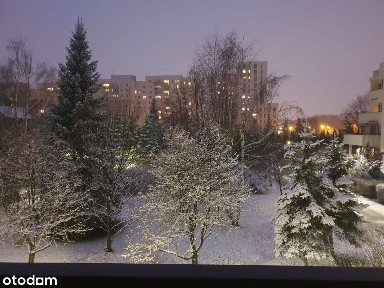 Szczęśliwice, Ochota, Warszawa, mazowieckie