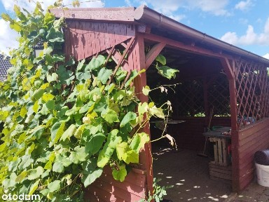 Rodzinny dom w cichej i zielonej okolicy
