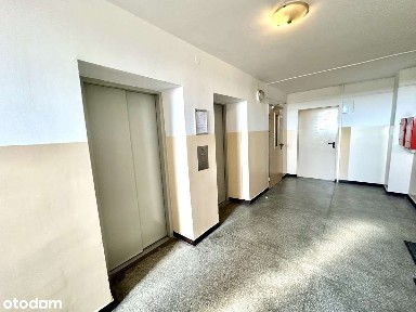 ul. Łozowa, Dębiec, Wilda, Poznań, wielkopolskie