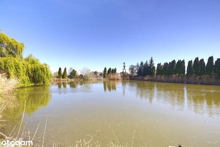 Dom na sprzedaż, Ozorków (gw), 5 pokoi
