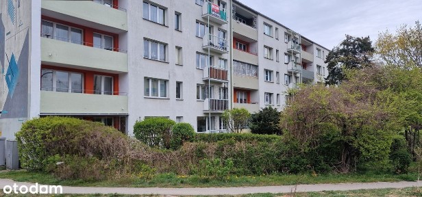 Śląska 72, Śródmieście, Gdynia, pomorskie