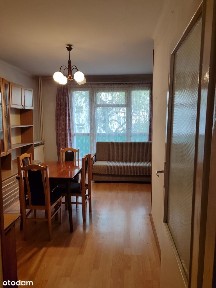 ul. Drewnowska, Koziny, Polesie, Łódź, łódzkie