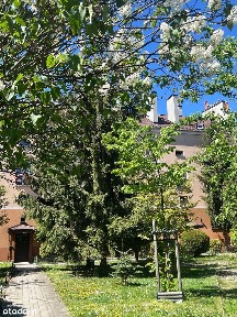 Mieszkanie 48m W ścisłym centrum Tarnowa (przecznica ulicy Wałowej)