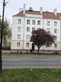Kawalerkę sprzedam