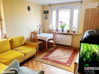 3 pokoje | po remoncie | osobna kuchnia | piwnica