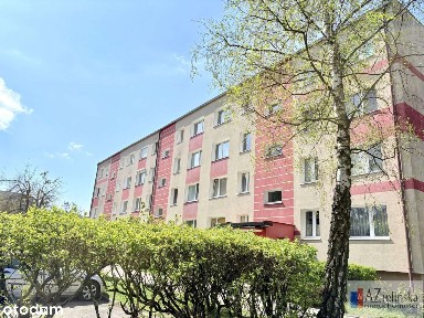 Ładne Mieszkanie Trzy Pokoje W Bloku Przy Lesie