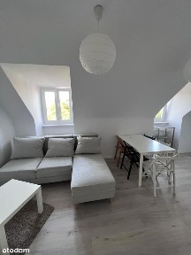 Klimatyczne mieszkanie - Łazarz