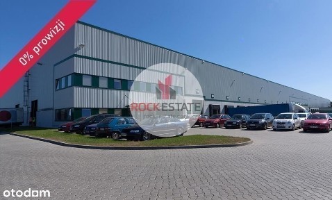 Magazyn 3969 m2 pod Wrocławiem od zaraz 0% prow.