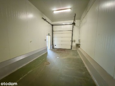 Hala 145,5 m² | Chłodnia | Rampa | HACCP | A4/S1 Mysłowice
