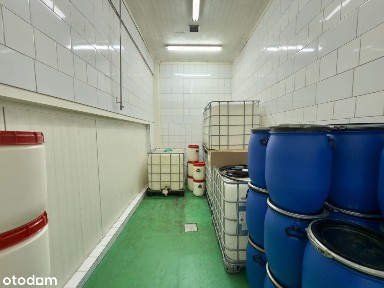 Hala 217,6 m² | Standard HACCP | Wjazd poziom 0 | A4/S1 Mysłowice