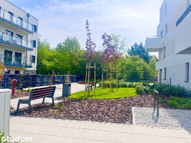 Morasko, Stare Miasto, Poznań, wielkopolskie