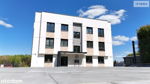 Żory, śląskie